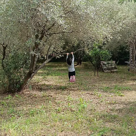 Maison Des Oliviers Tatil Evi Golos