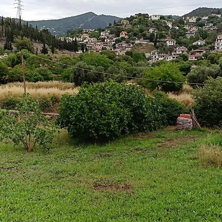 Maison Des Oliviers Ferienhaus Volos