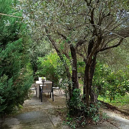 Maison Des Oliviers Ferienhaus Volos